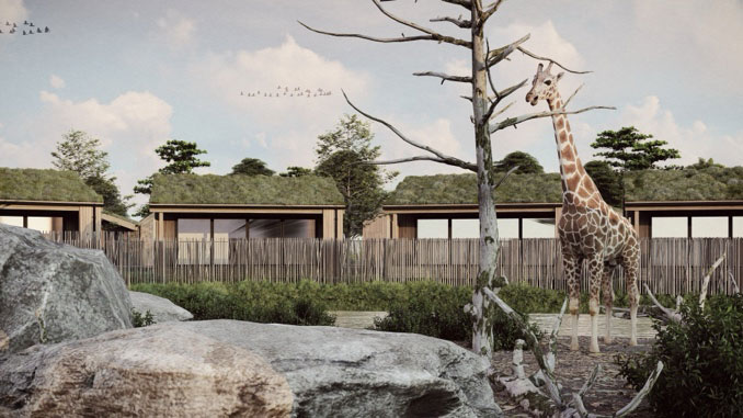 Chester Zoo safari lodges artists impression