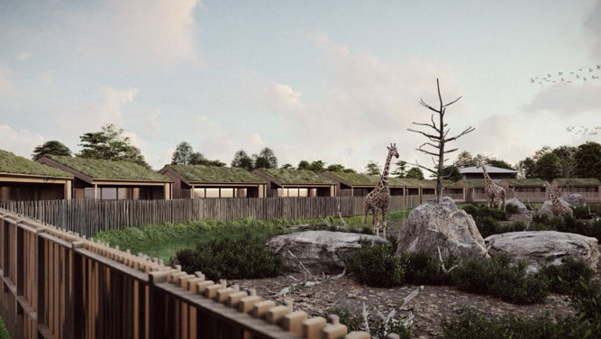 Alternate view of the Chester Zoo safari lodges